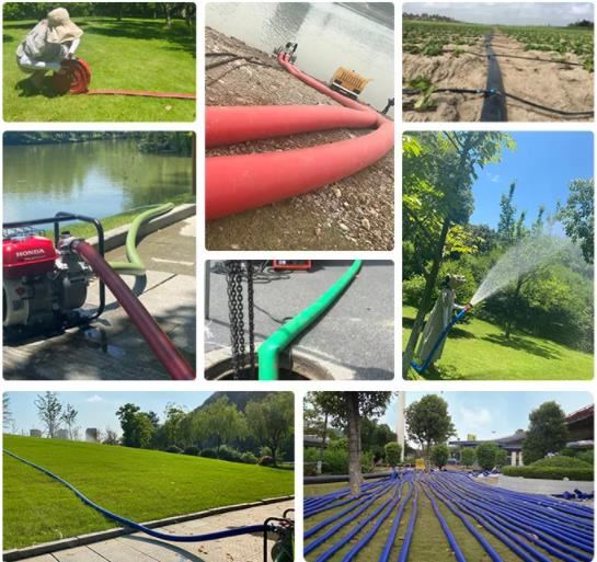 Application